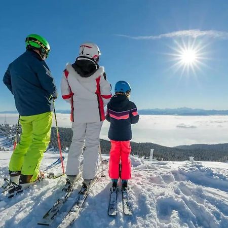 Studio Chaleureux Au Depart Des Sentiers Et Pistes De Ski Lajoux Buitenkant foto