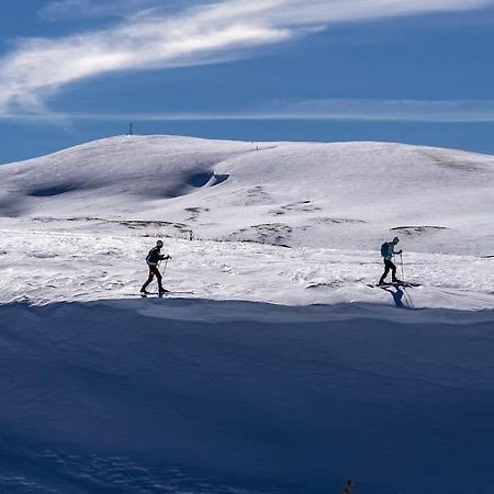 Studio Chaleureux Au Depart Des Sentiers Et Pistes De Ski Lajoux Buitenkant foto
