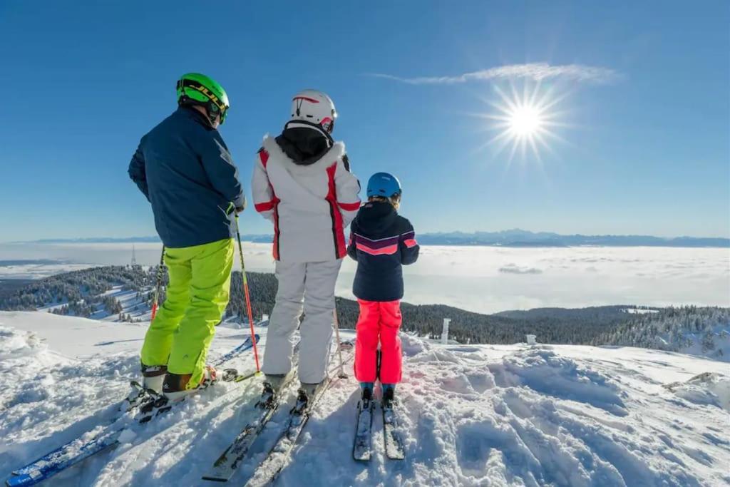 Studio Chaleureux Au Depart Des Sentiers Et Pistes De Ski Lajoux Buitenkant foto