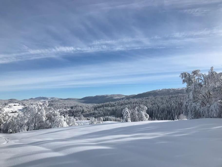 Studio Chaleureux Au Depart Des Sentiers Et Pistes De Ski Lajoux Buitenkant foto
