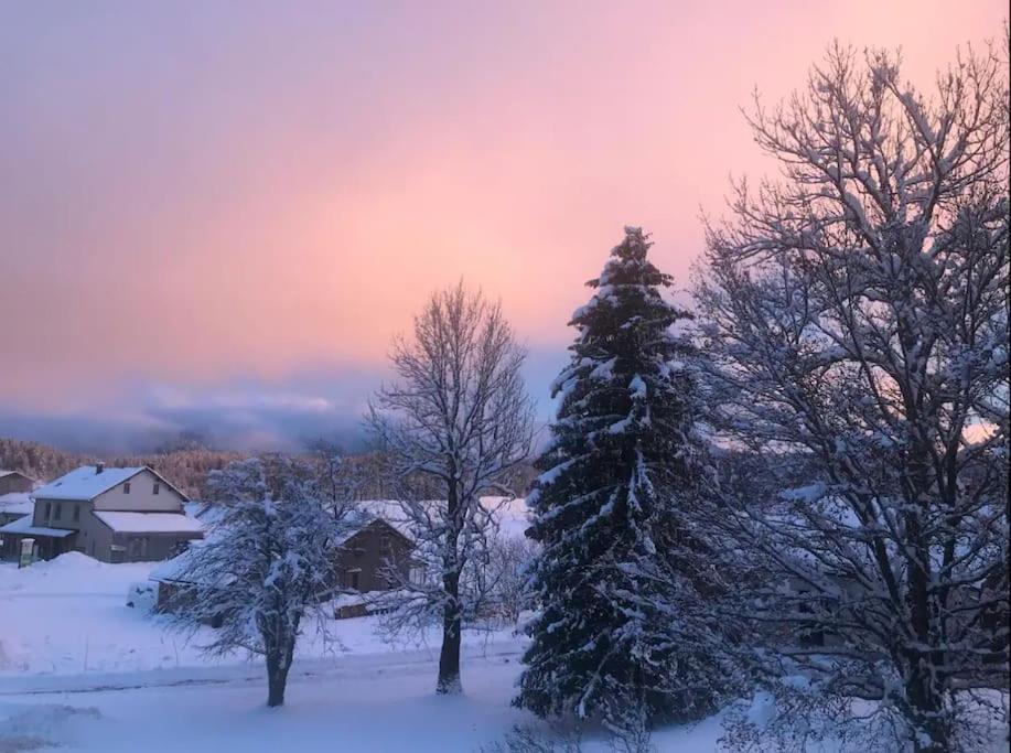 Studio Chaleureux Au Depart Des Sentiers Et Pistes De Ski Lajoux Buitenkant foto