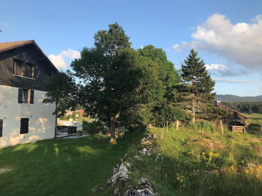 Studio Chaleureux Au Depart Des Sentiers Et Pistes De Ski Lajoux Buitenkant foto